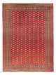 Bukhara Koberec 310x418cm - Orientální koberec