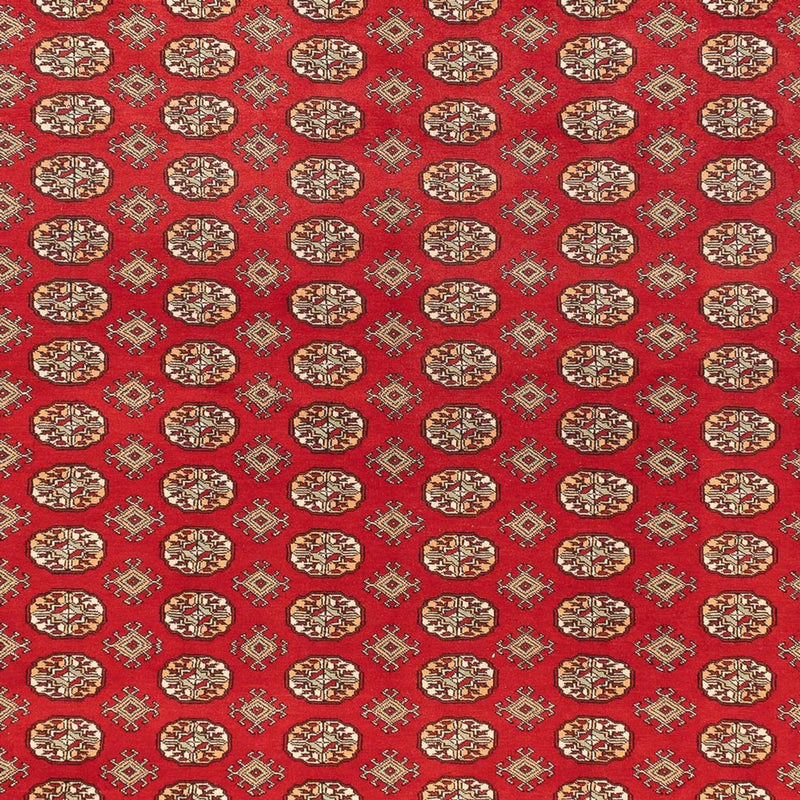 Bukhara Koberec 310x418cm - Orientální koberec