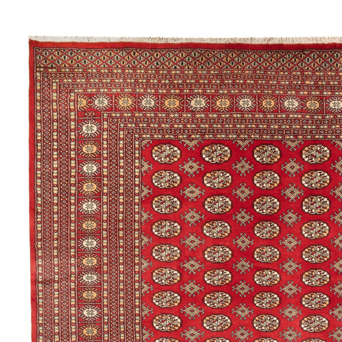 Bukhara Koberec 310x418cm - Orientální koberec