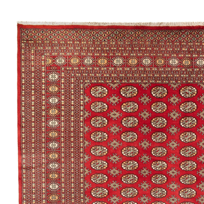 Bukhara Koberec 310x418cm - Orientální koberec