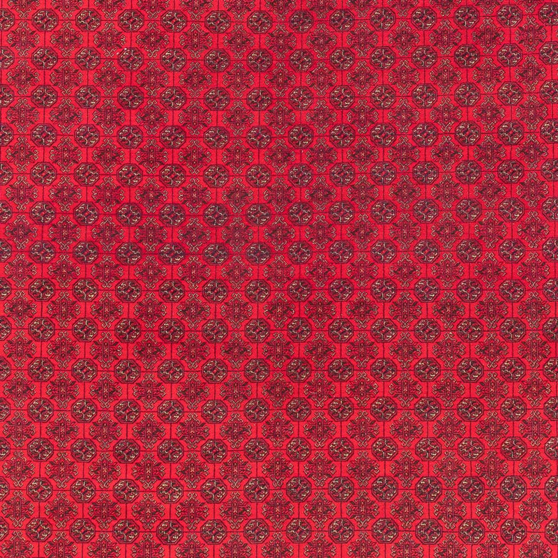 Afghánský koberec 292x380cm - Orientální koberec