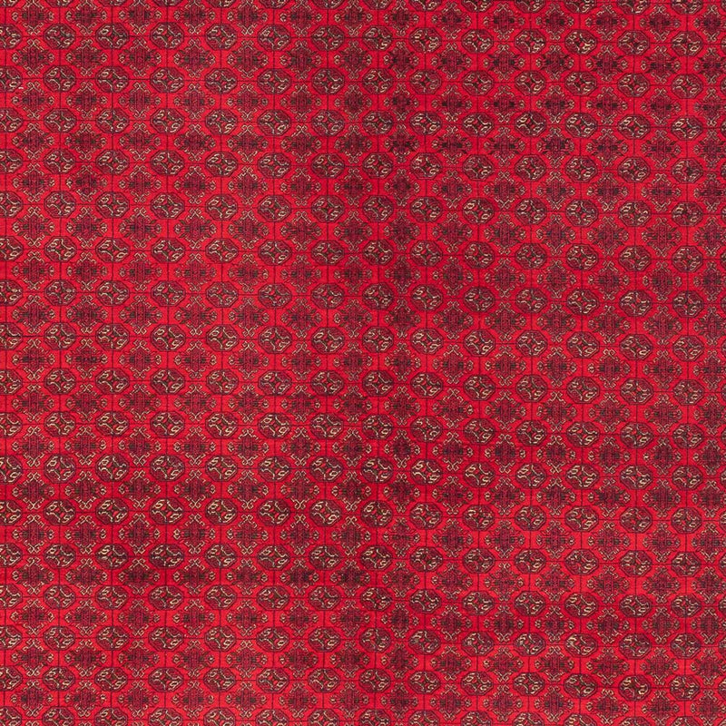 Afghánský koberec 294x404cm - Orientální koberec