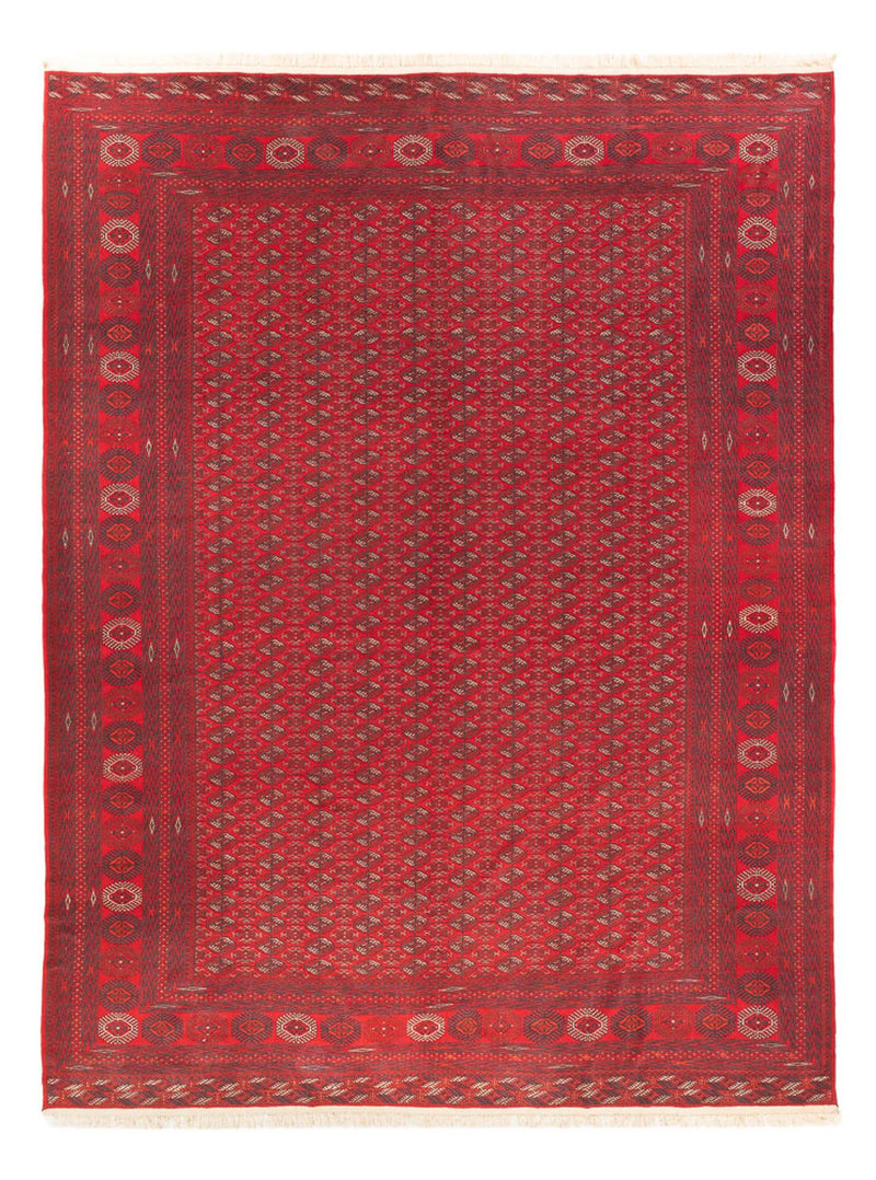 Afghánský koberec 305x400cm - Orientální koberec