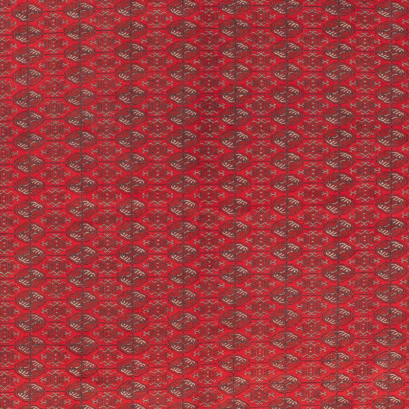 Afghánský koberec 305x400cm - Orientální koberec