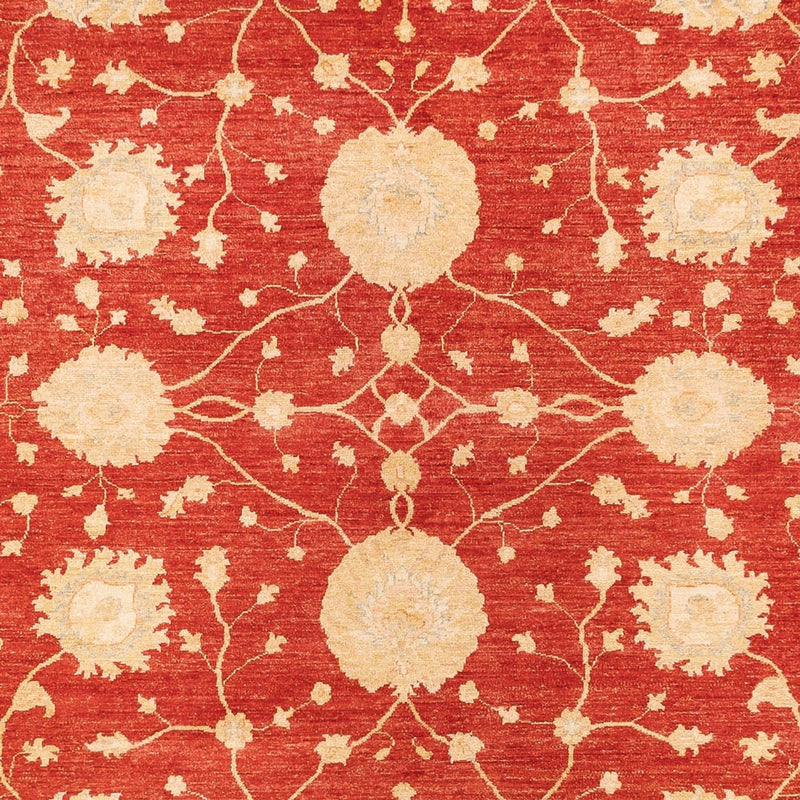 Zieglerův koberec 277x367cm - Orientální koberec