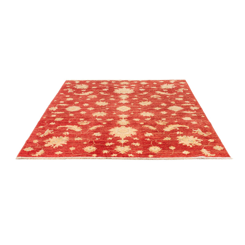 Ziegler moderní Koberec 206x154cm - Orientální koberec