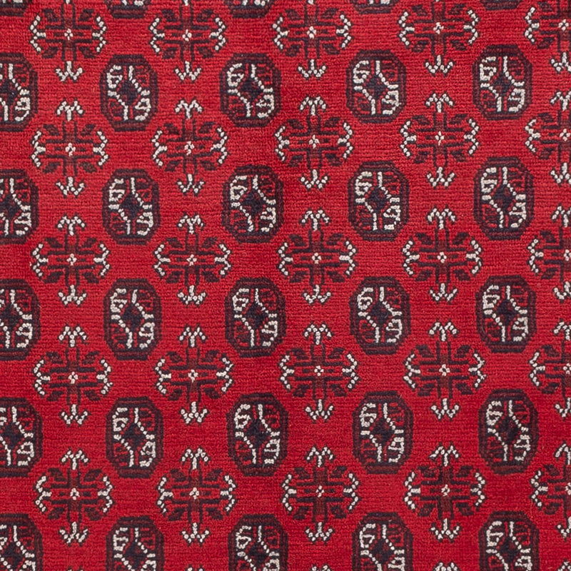 Akhche Koberec 302x245cm - Orientální koberec