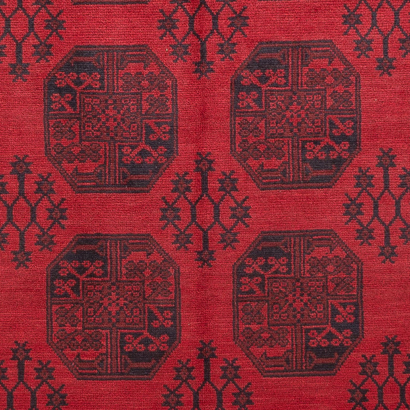 Akhche Koberec 346x246cm - Orientální koberec