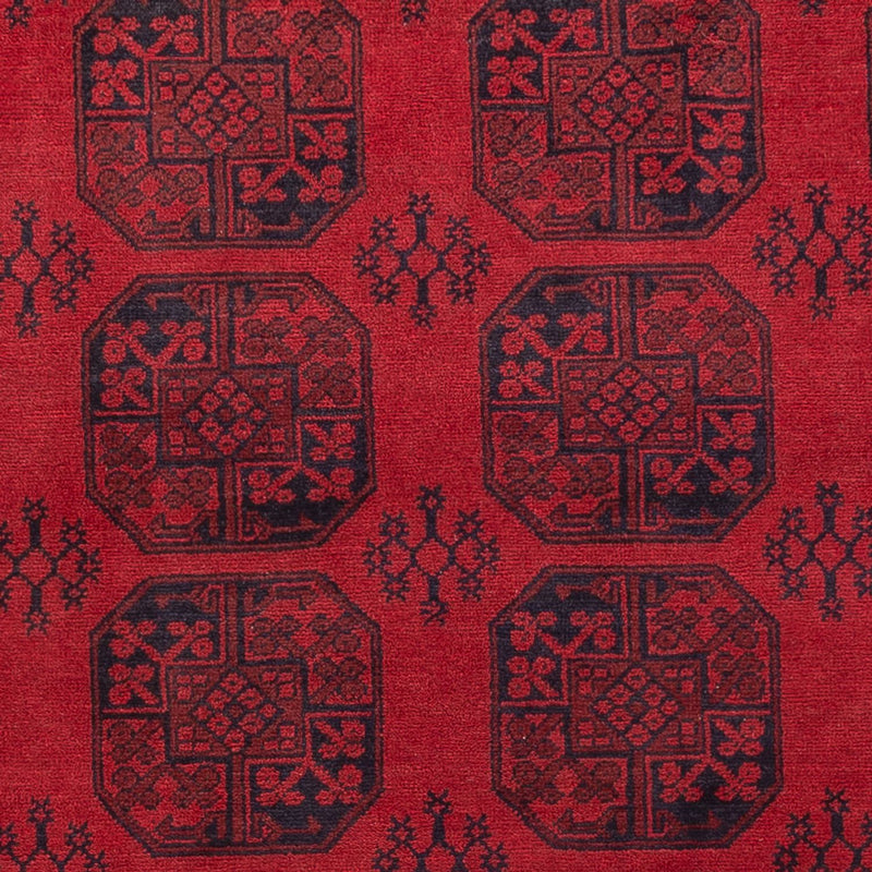 Akhche Koberec 255x345cm - Orientální koberec