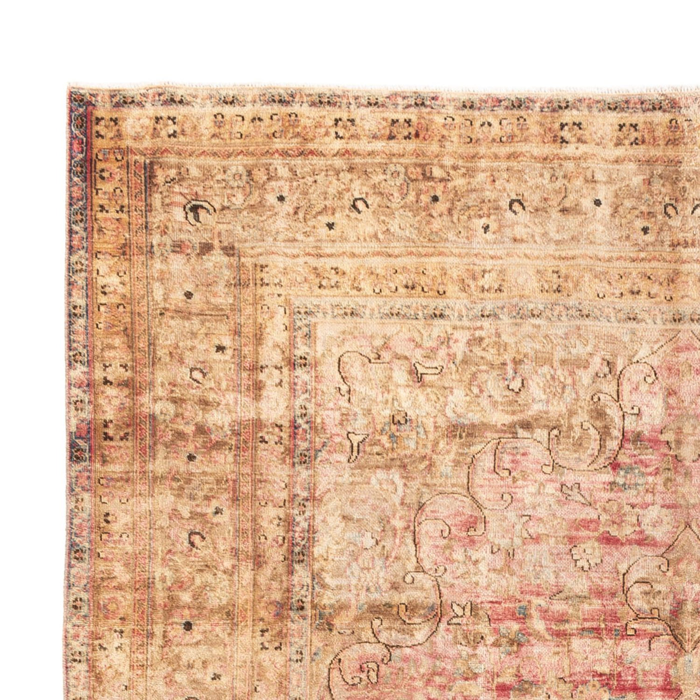 Vintage koberec - 333 x 239 cm - tmavě béžová