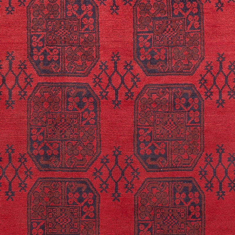 Akhche Koberec 350x253cm - Orientální koberec