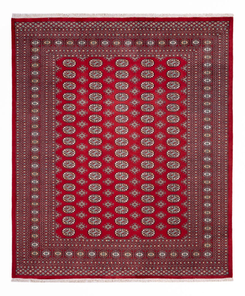 Bukhara Koberec 250x296cm - Orientální koberec