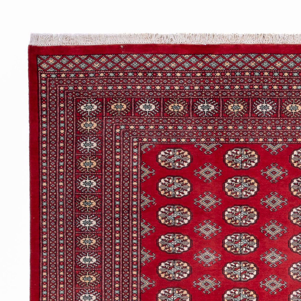 Bukhara Koberec 250x296cm - Orientální koberec