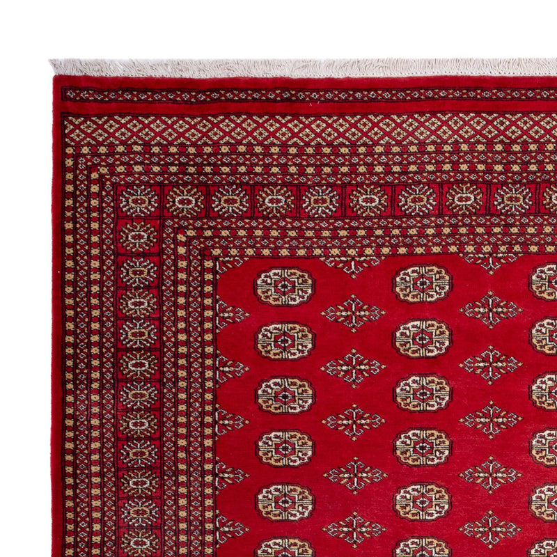 Bukhara Koberec 252x305cm - Orientální koberec