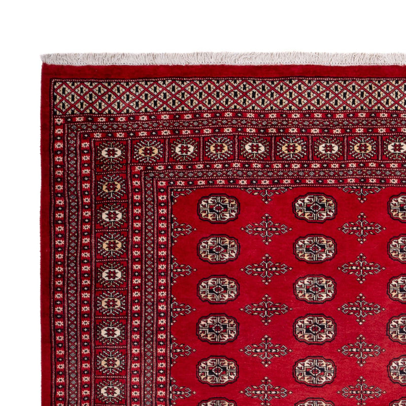 Bukhara Koberec 250x319cm - Orientální koberec