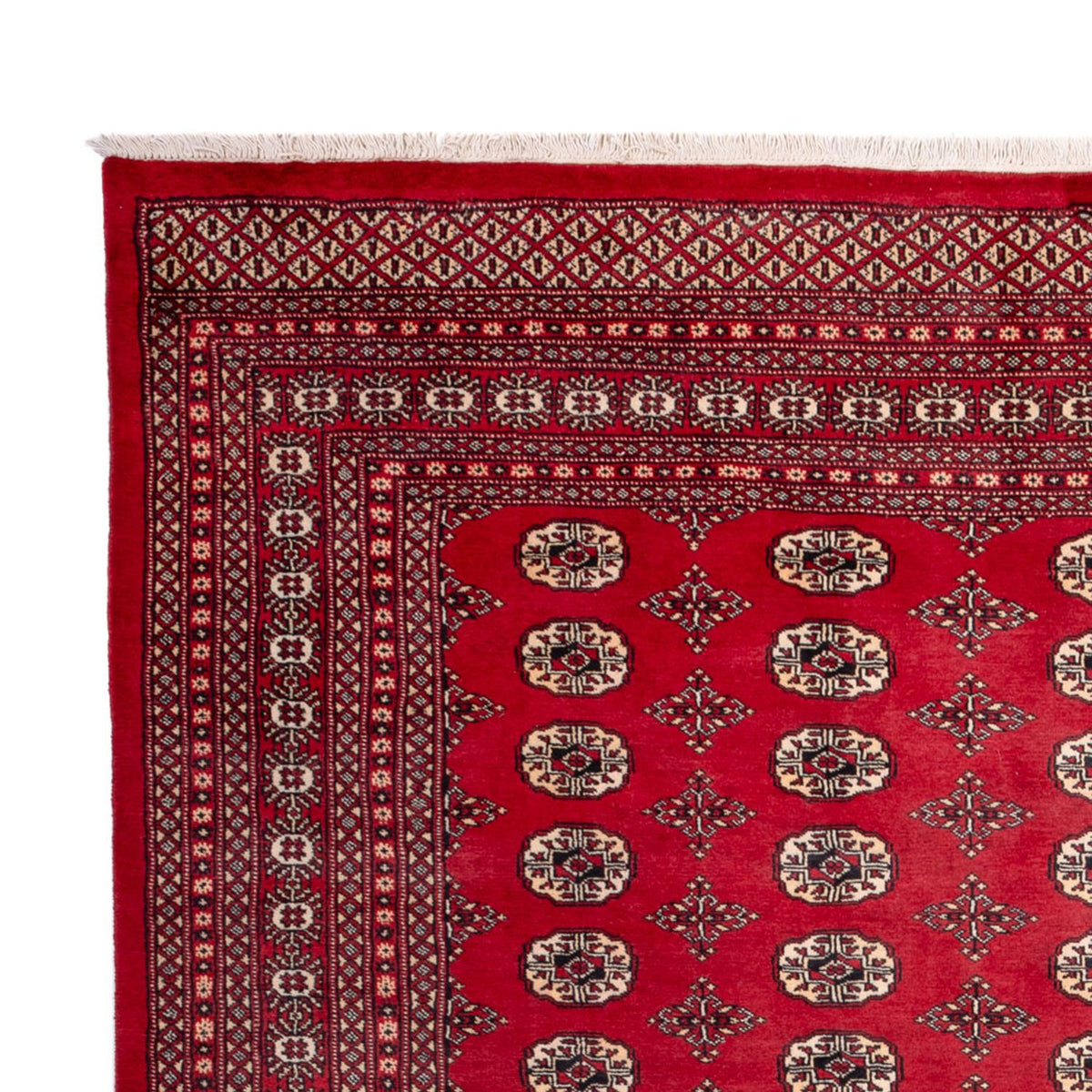 Bukhara Koberec 248x309cm - Orientální koberec