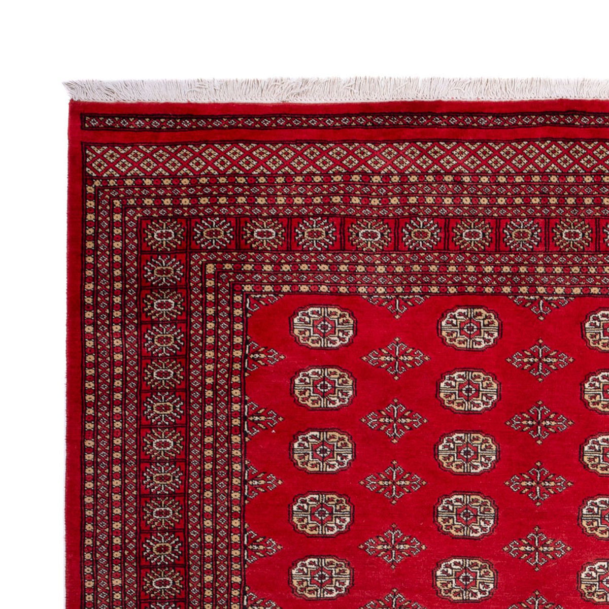 Bukhara Koberec 247x321cm - Orientální koberec