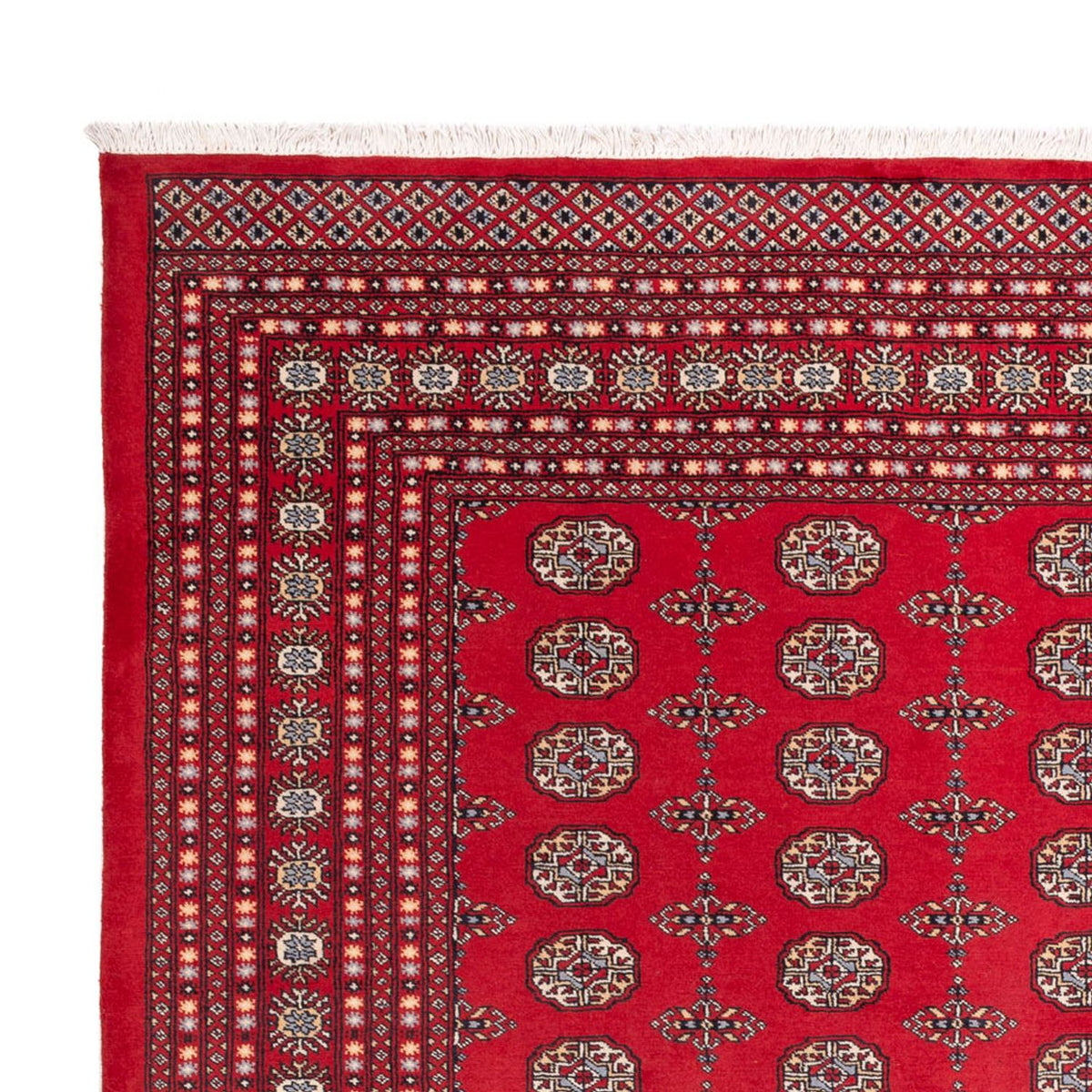 Bukhara Koberec 250x310cm - Orientální koberec