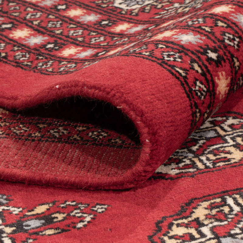Bukhara Koberec 250x310cm - Orientální koberec