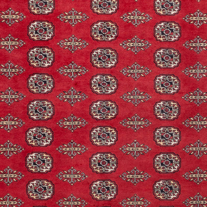 Bukhara Koberec 248x315cm - Orientální koberec