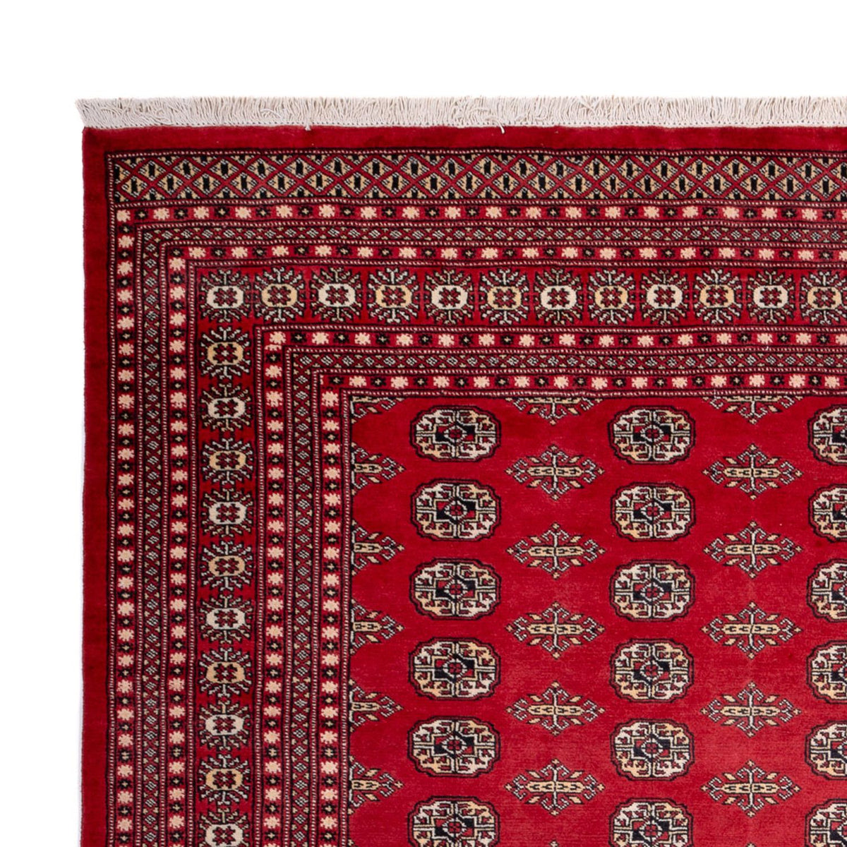 Bukhara Koberec 248x315cm - Orientální koberec