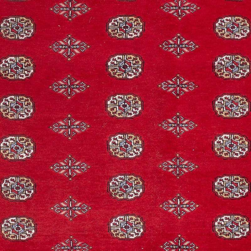 Bukhara Koberec 205x303cm - Orientální koberec