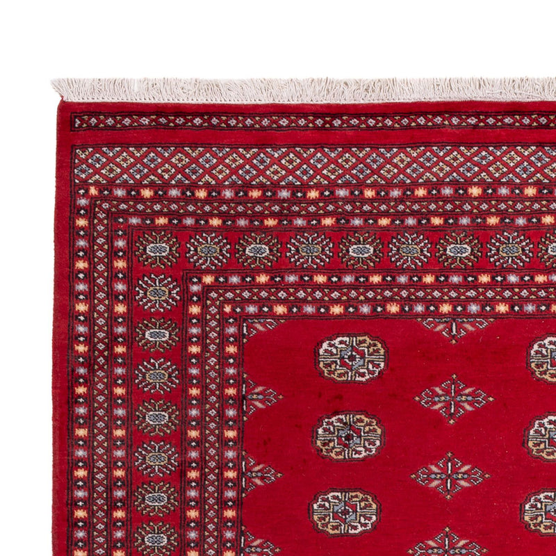 Bukhara Koberec 205x303cm - Orientální koberec