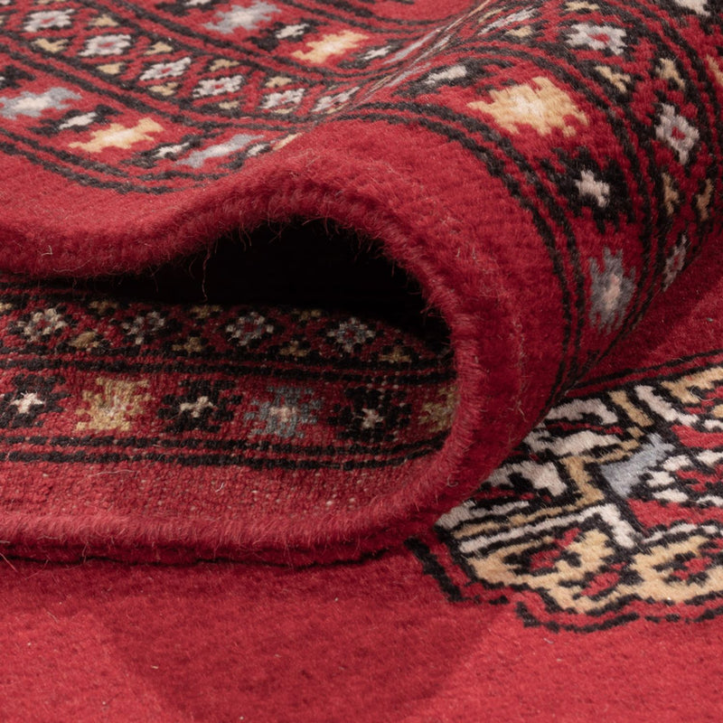 Bukhara Koberec 205x303cm - Orientální koberec