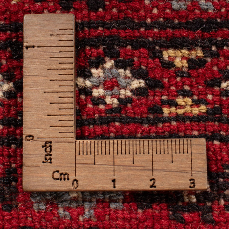 Bukhara Koberec 205x303cm - Orientální koberec