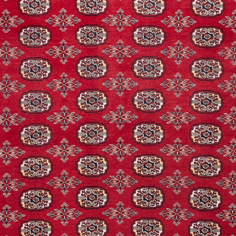 Bukhara Koberec 248x322cm - Orientální koberec