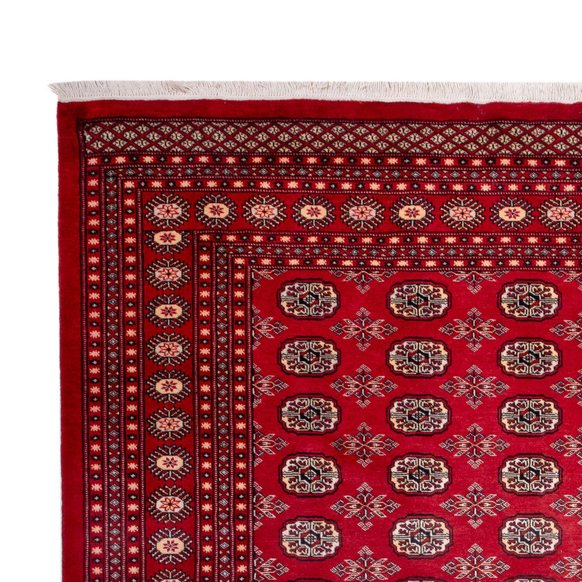 Bukhara Koberec 248x322cm - Orientální koberec
