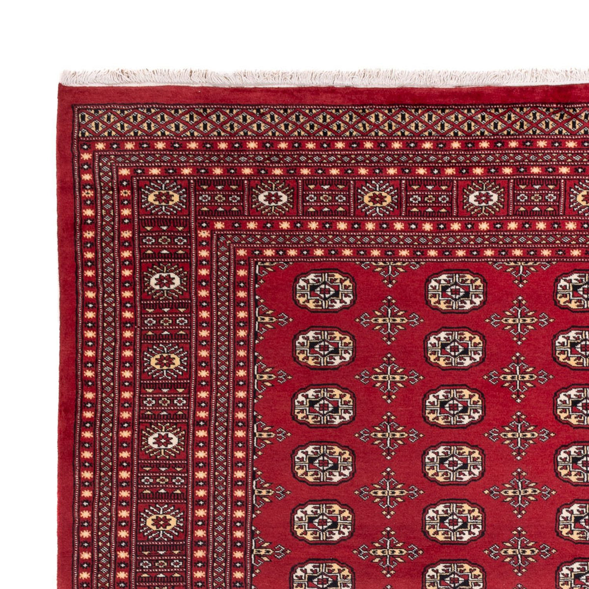 Bukhara Koberec 245x312cm - Orientální koberec