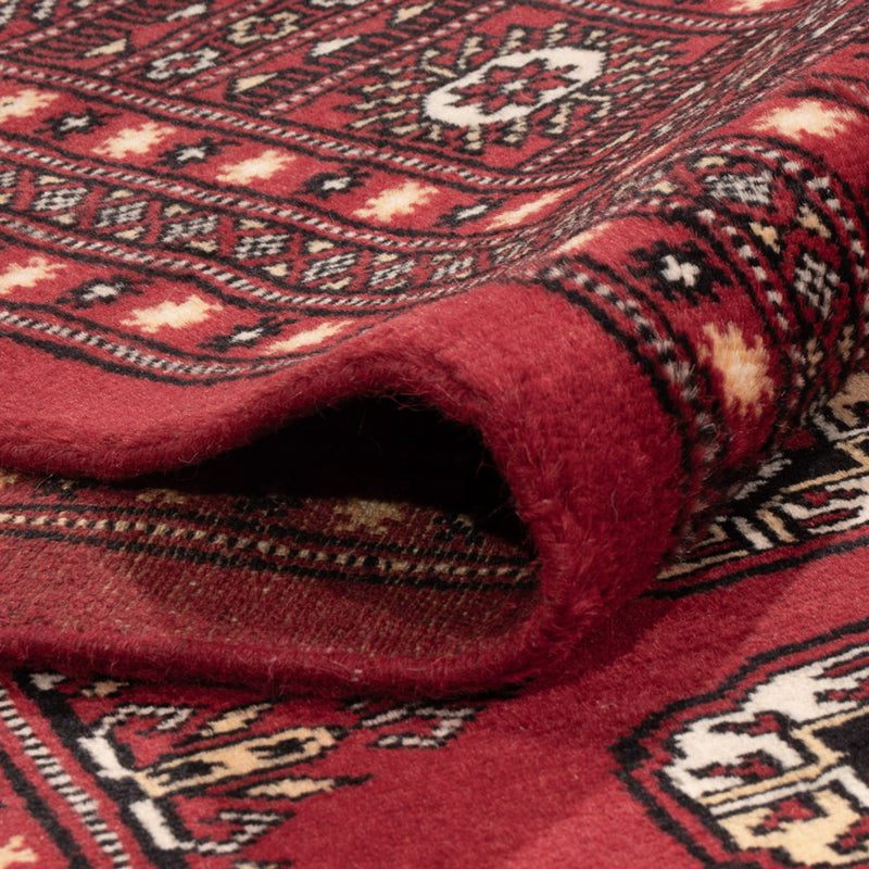 Bukhara Koberec 245x312cm - Orientální koberec