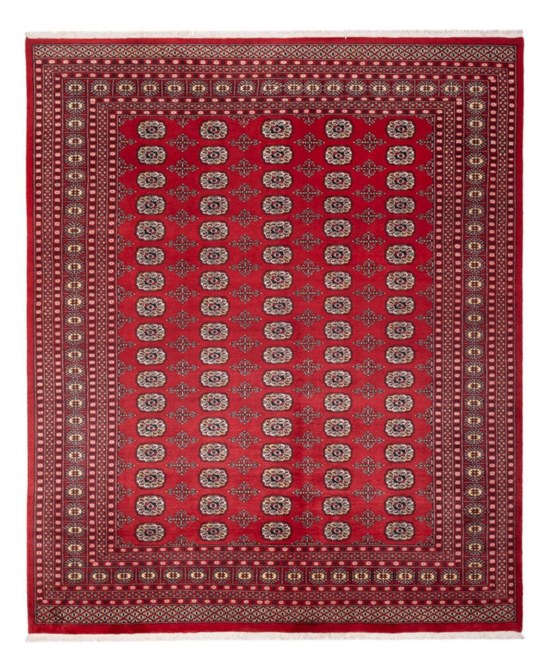 Bukhara Koberec 298x243cm - Orientální koberec