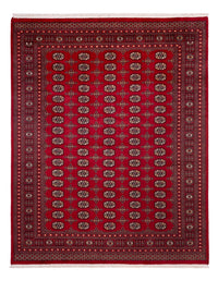 Bukhara Koberec 243x308cm - Orientální koberec – product image