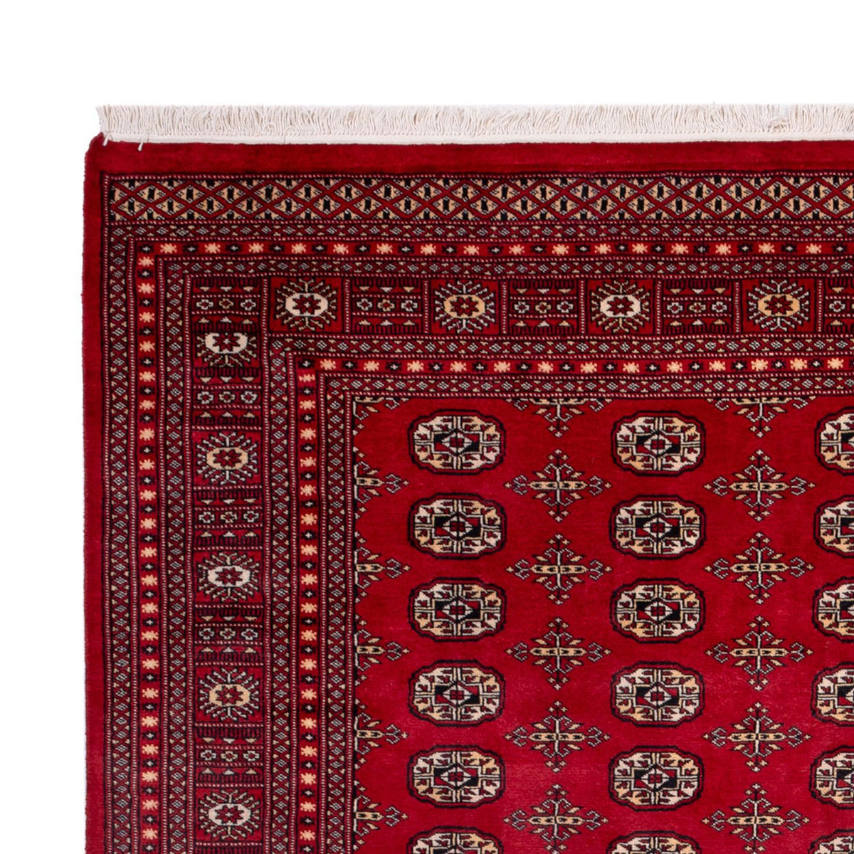 Bukhara Koberec 243x308cm - Orientální koberec