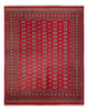 Bukhara Koberec 244x312cm - Orientální koberec