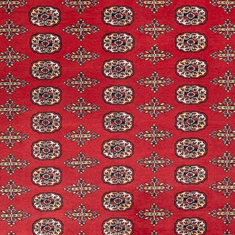 Bukhara Koberec 244x312cm - Orientální koberec