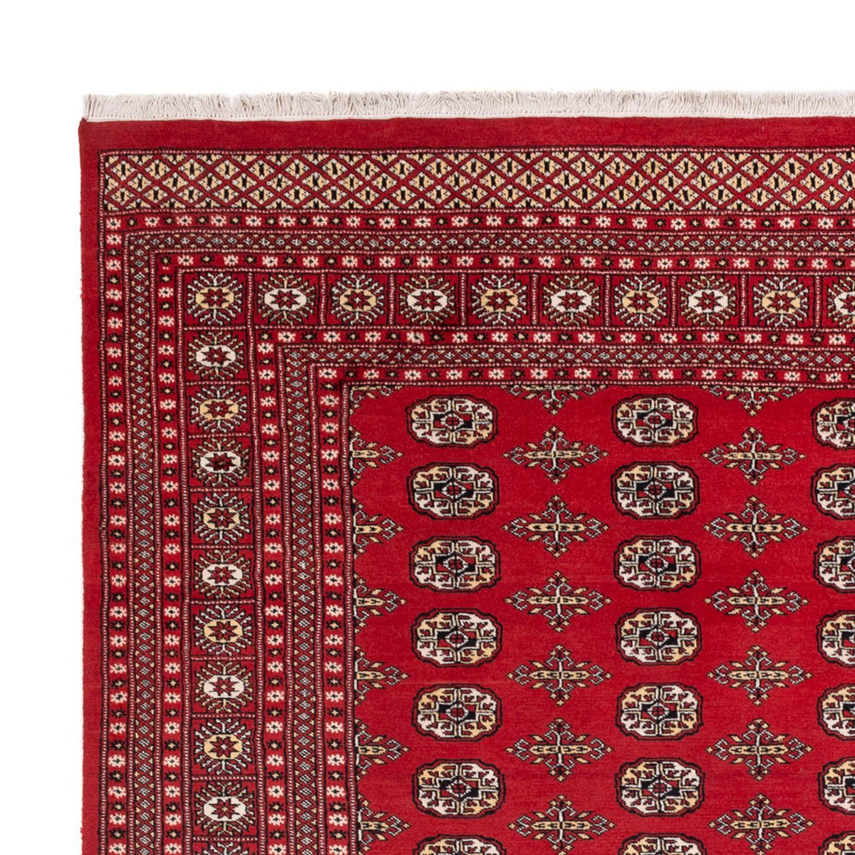 Bukhara Koberec 244x312cm - Orientální koberec