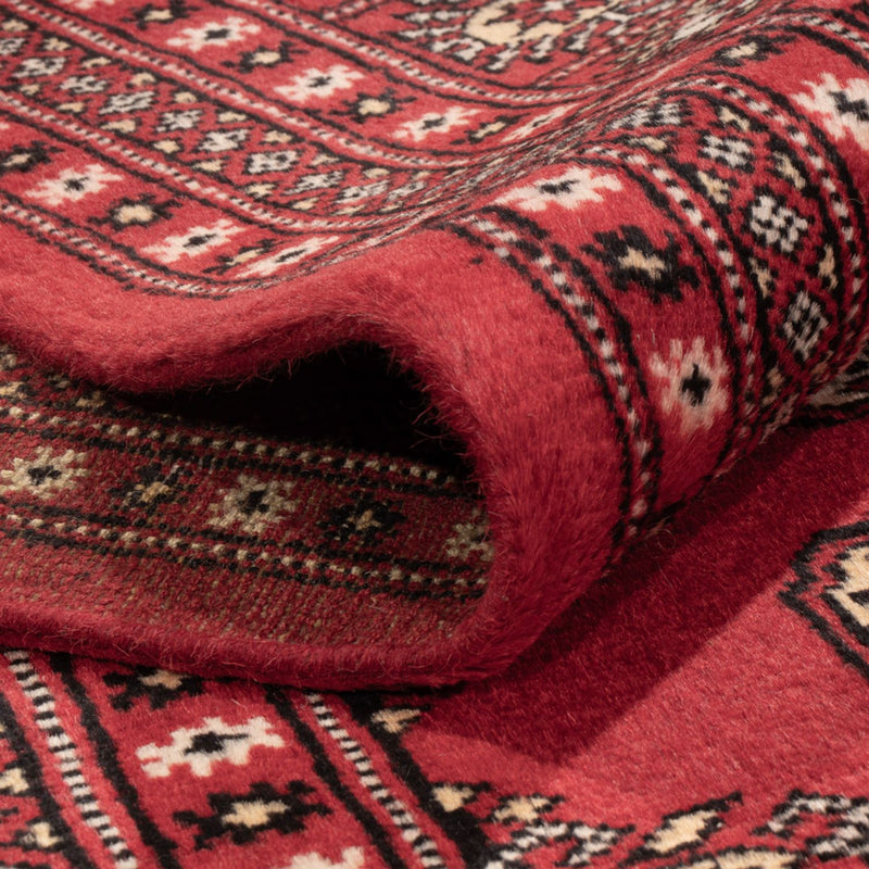 Bukhara Koberec 244x312cm - Orientální koberec