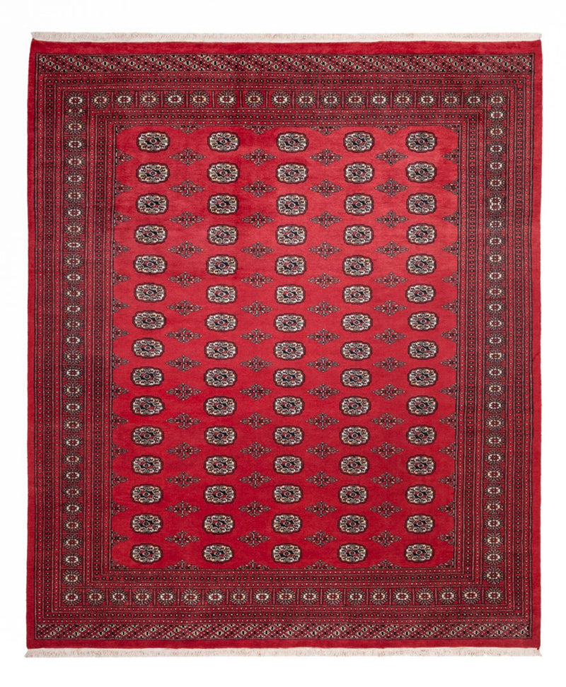 Bukhara Koberec 246x305cm - Orientální koberec
