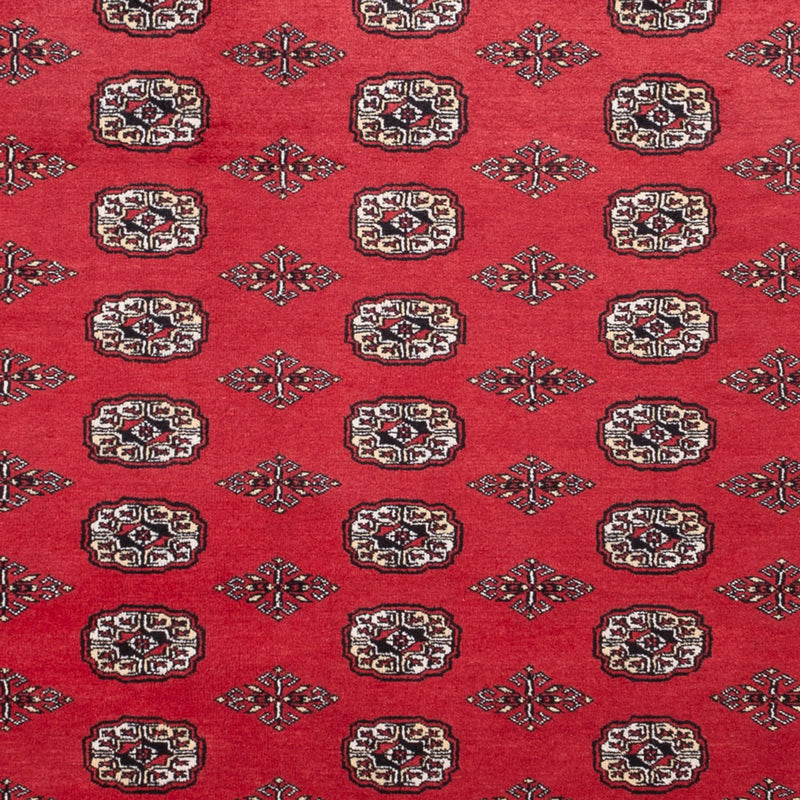 Bukhara Koberec 246x305cm - Orientální koberec
