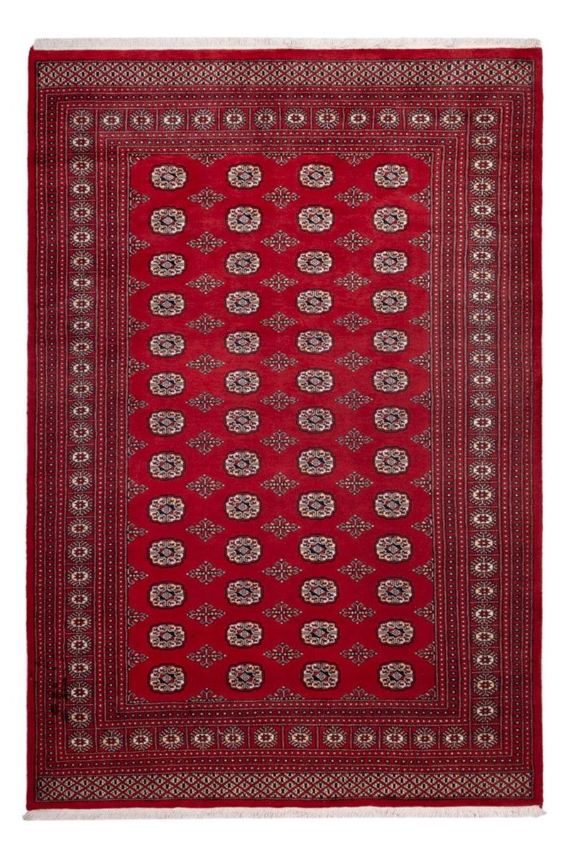 Bukhara Koberec 200x290cm - Orientální koberec