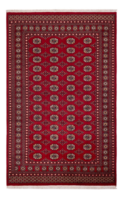 Pákistánský koberec 167x256cm - Orientální koberec