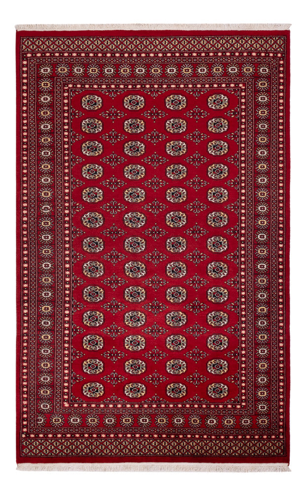 Pákistánský koberec 167x256cm - Orientální koberec