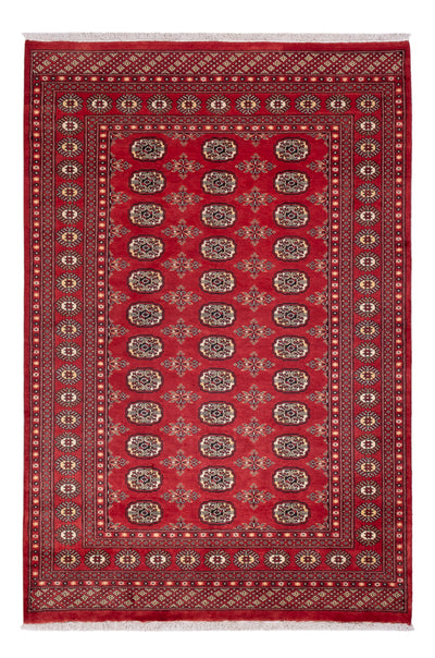 Pákistánský koberec 158x237cm - Orientální koberec