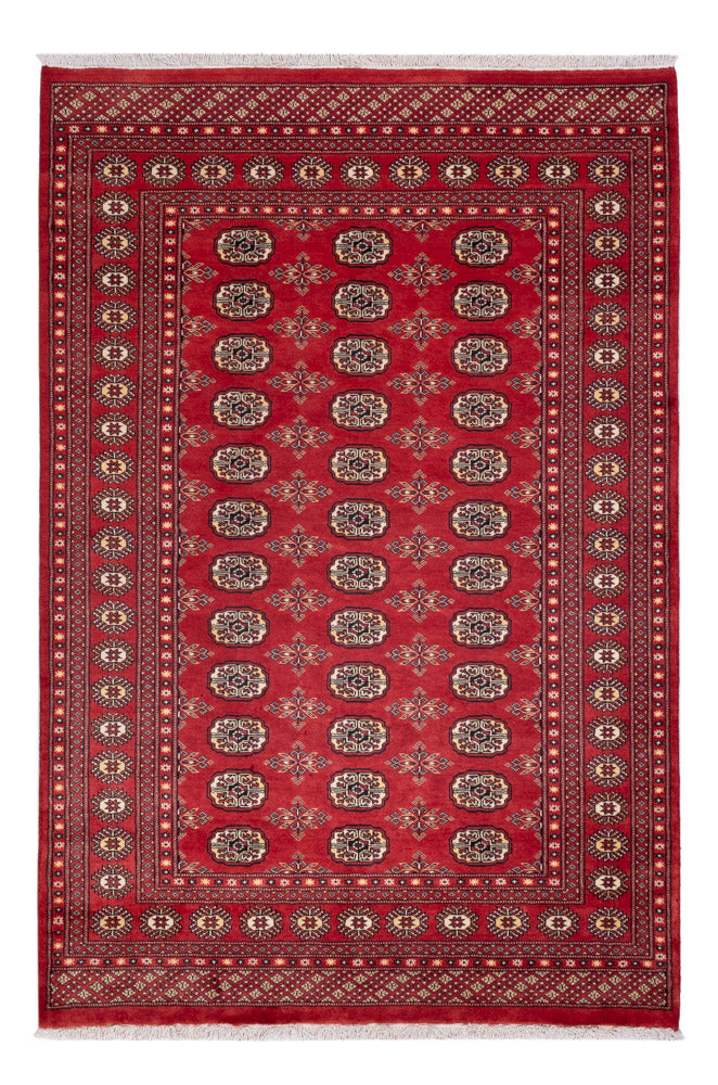 Pákistánský koberec 237x158cm - Orientální koberec