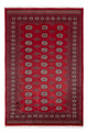 Pákistánský koberec 167x249cm - Orientální koberec