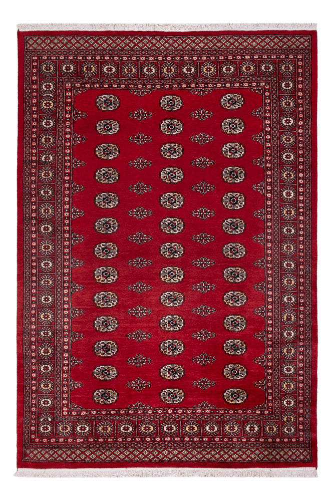 Pákistánský koberec 164x239cm - Orientální koberec