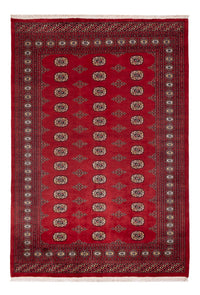 Pákistánský koberec 235x165cm - Orientální koberec – product image